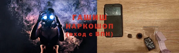 индика Балахна
