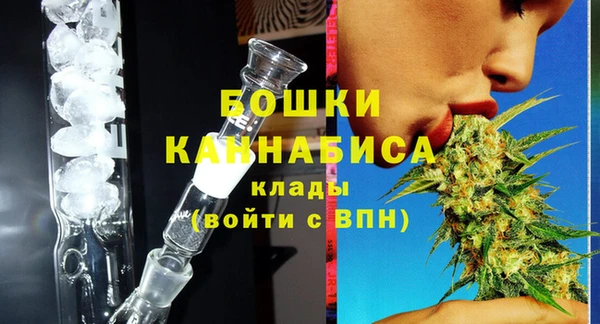 твердый Краснослободск