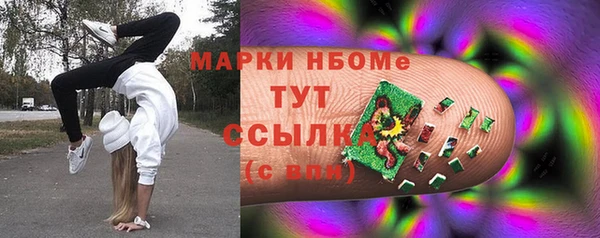 индика Балахна