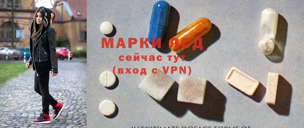 индика Балахна