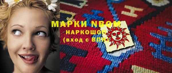 индика Балахна