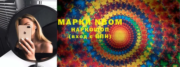 индика Балахна