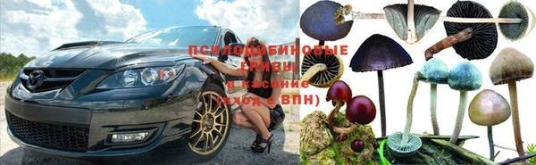jwh Беломорск