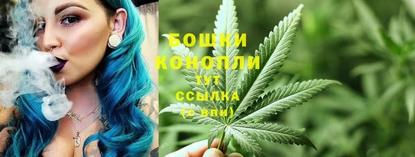 экстази Белокуриха