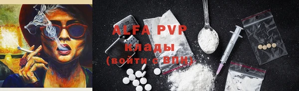 индика Балахна
