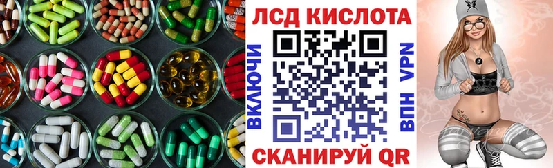 где купить наркоту  Вязники  ЛСД экстази ecstasy 
